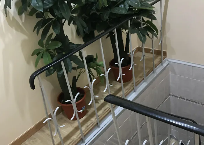 O Eletrico Гостевой дом 3*